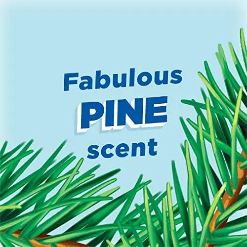 Toilet Cleaner Liquid, Removes Limescale, Long Lasting Fragrance, Pine Forest, 750ml Household Cleaning 5