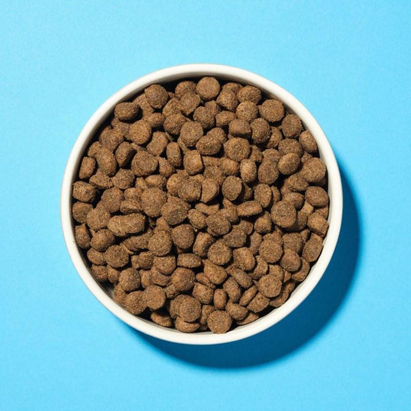 Pooch & Mutt - Health & Digestion, Complete Dry Dog Food (Grain Free), Salmon and Sweet Potato, 2kg 1