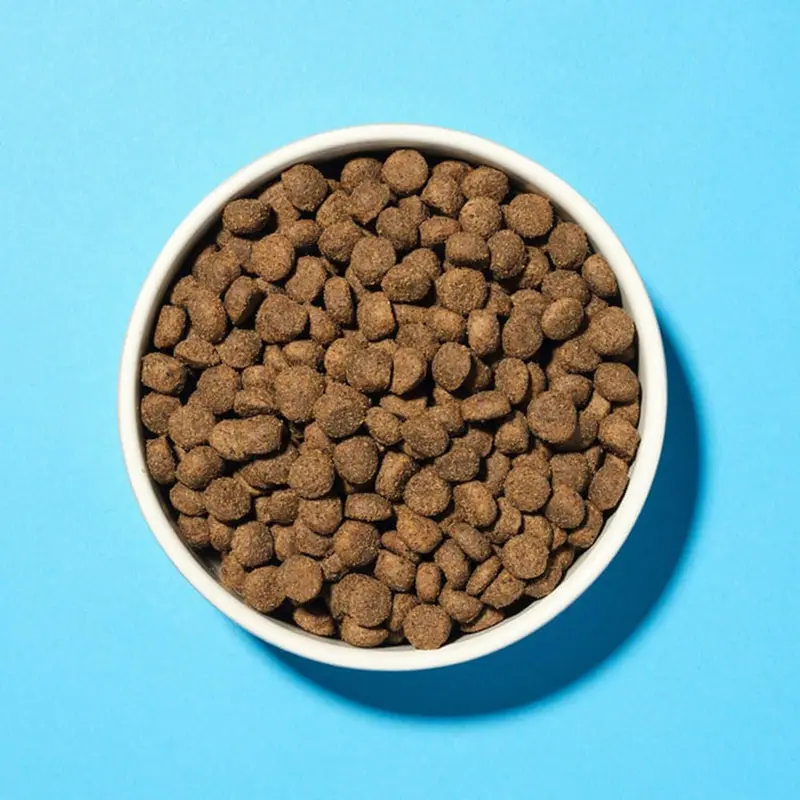 Pooch & Mutt - Health & Digestion, Complete Dry Dog Food (Grain Free), Salmon and Sweet Potato, 2kg 1