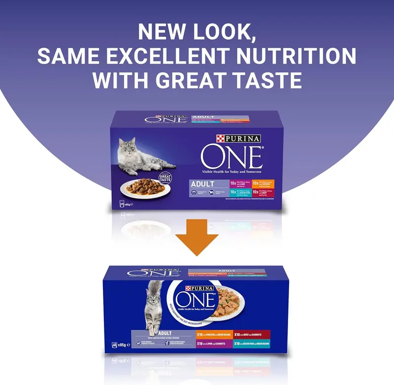 PURINA ONE Mini Fillets Mixed Selection in Gravy Wet Cat Food 40x85g 1