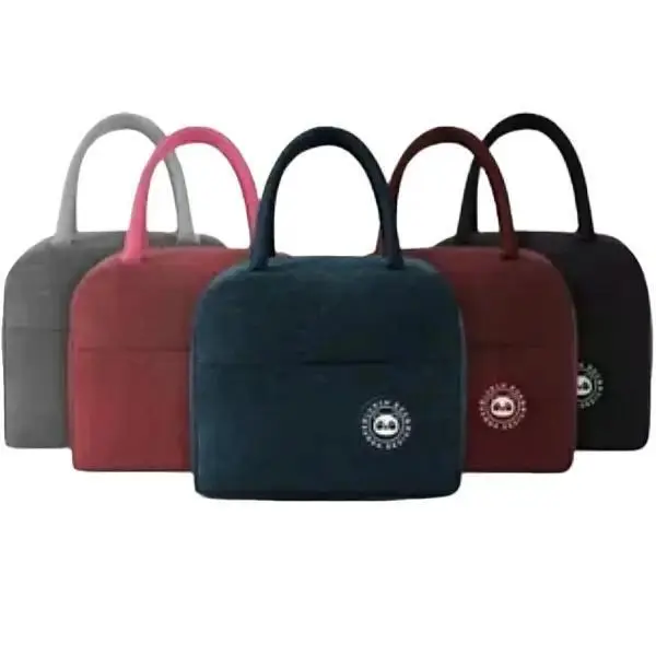 Portable Insulated Lunch Bag for Kids School and Picnics - Organiser, BPA Free Materials - Box, Aluminium