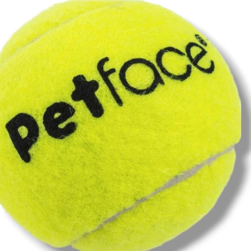 Tennis Balls 12 Pack 3