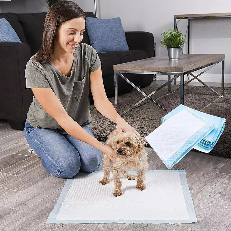 New Pet Dog Pee Puppy Pads Large Training Floor Toilet Mats Leak Proof 60cm x 40cm 3
