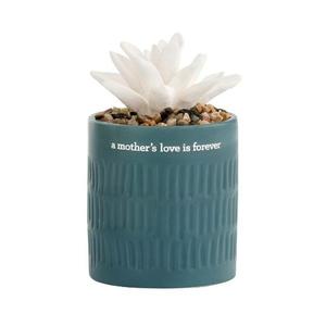 Ceramic Succulent Oil Diffuser – Tranquil Home Décor with Heartfelt Inscription 'A Mother's Love is Forever,' Perfect Gift for Any Occasion, Green and Boxed Fragrance Scented Room Fragrance plant