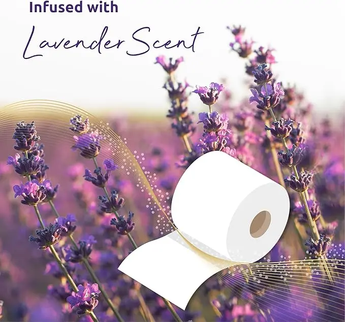 Fragranced Luxury Toilet Rolls Bulk Buy - Quilted White 3 Ply Toilet Paper - Pack of 60 Toilet Tissue (12 x 5 Packs) 3