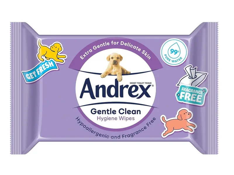Andrex Gentle Clean Moist Toilet Tissue - Flushable Hygiene Wipes Single (12 Packs x 36 Sheets), 1