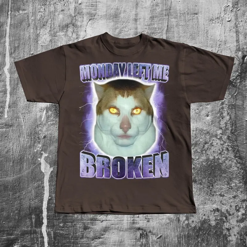 Monday Left Me Broken Funny Cat Meme T-shirt, Brainrot Tee Shirt 2