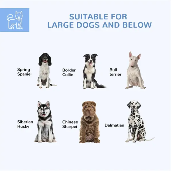 Dog Crate - Simply Named Product Without Additional Features or Specifications 4
