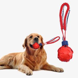 Dog Chew Toy, 1 Count Durable Dog Teething Toy, Pet Interactive Ball Toy, Dog Teeth Cleaning Toy, Dog & Cat Accessories