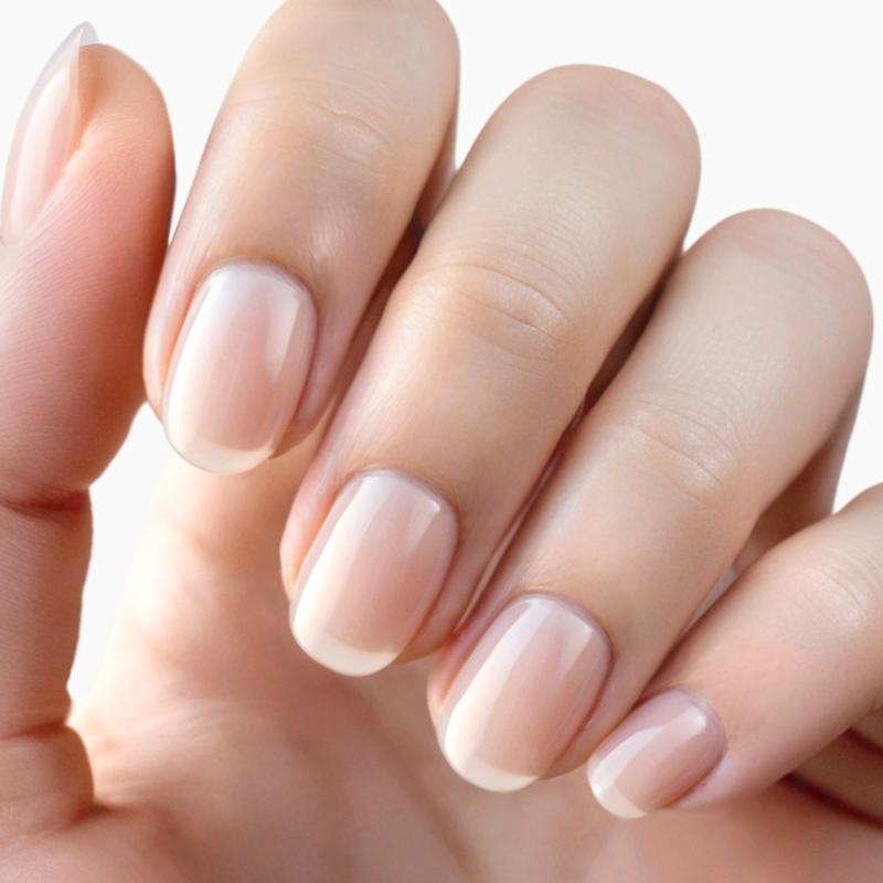 Starter Bundle worth £52! - Holy Gels 7