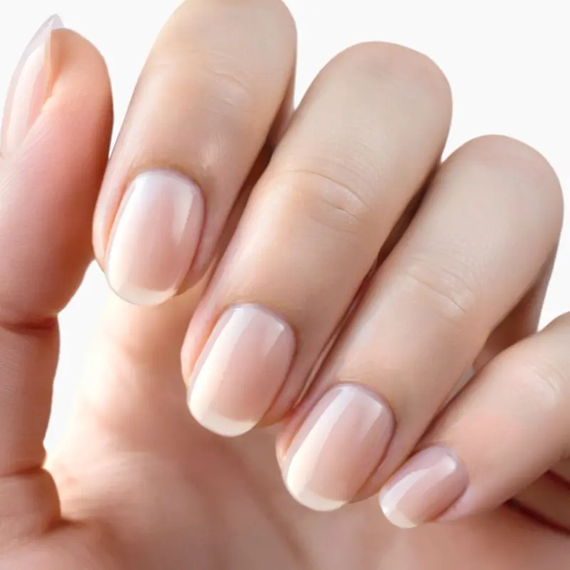 Starter Bundle worth £52! - Holy Gels 7