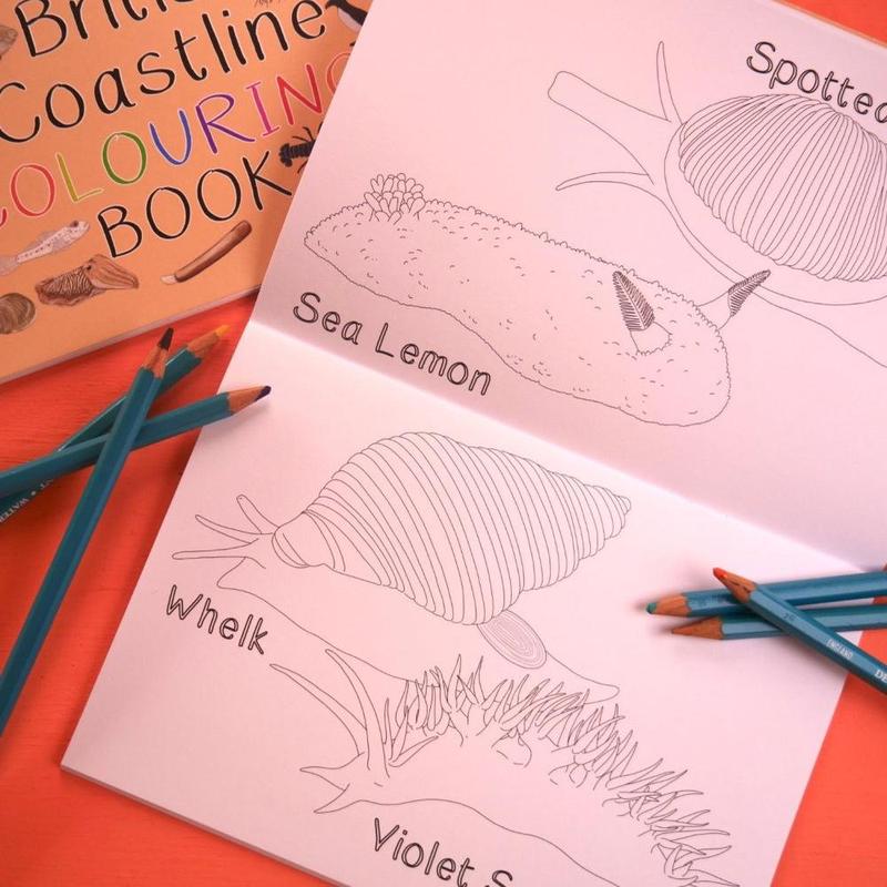 Amazing British Coastline Colouring Book 1