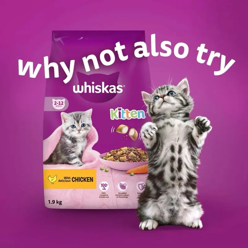 144 x 85g Whiskas Kitten Mixed Menu Wet Cat Food Pouches in Jelly 7