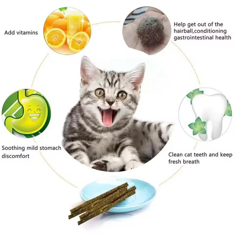 6pcs Natural Matatabi Cat Stick Mint Caught Bite Excited Rods Silvervine For Cat Teeth Cleaning Treating Pet Supply Cat Toys 1