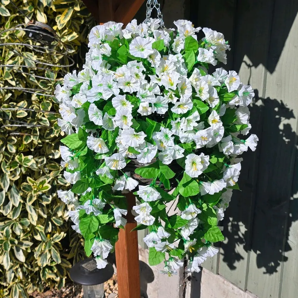 Hanging basket with artificial ivory morning glory flowers. Wicker 10 inch basket with metal chain and hook.