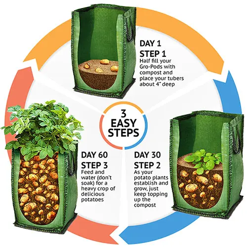 Potato Growing Selection, Grow Your Own Potatoes, Three Seed Varieties and Three Growing Pod Bags, Start Growing in Gardens, Patios, and Courtyard Gardens 1