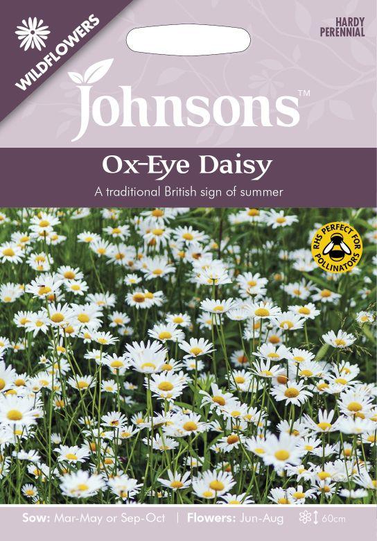 Product Introduction of Ox eye Daisy   seeds by johnsons. A tradition British sign of Summer 3