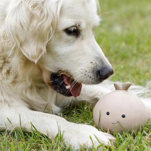 Product Introduction of Latex Broccoli Soft Chew Dog Toy, Large 3 Designs available Dog Playing toys toys  for  dogs 2
