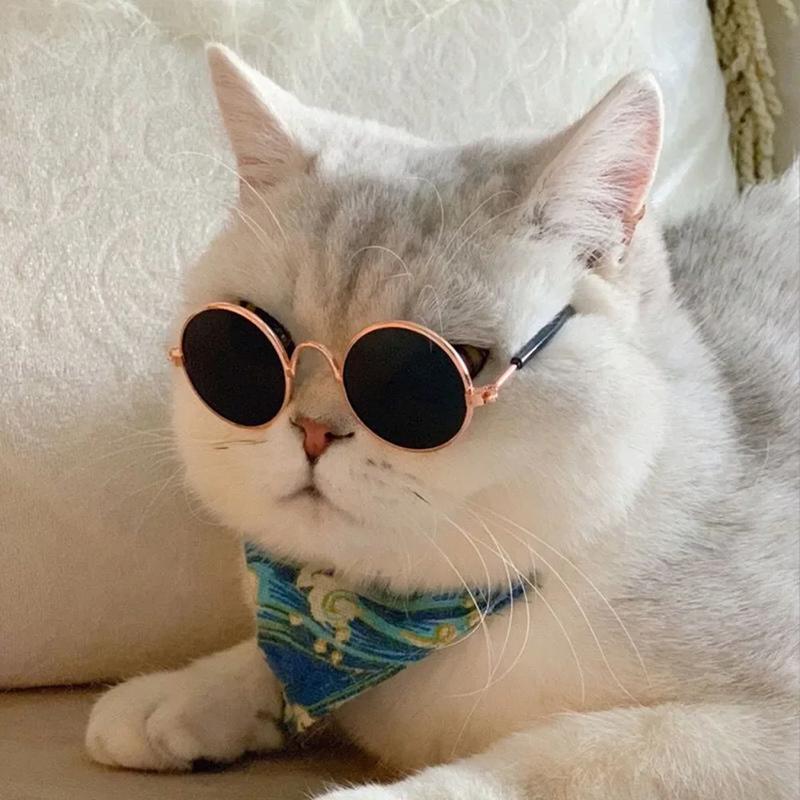 Cat Sunglasses Summer Outdoor Puppy UV Protection Sunglasses Dolls Sun Glasses Small Dog Cosplay Photo Props Cute Pet Sunglasses 1