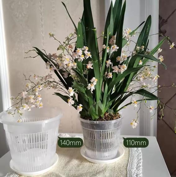 Meshpot Clear Plastic Orchid Pots For Flower Breathable Basin Orchid Planters Root Control Orchid Transparent Desktop Pot 4