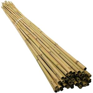20 x 6FT (180cm) Bamboo Canes