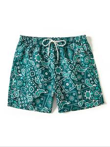 Men's Paisley Pattern Drawstring Waist Shorts, Regular Fit Casual Comfy Shorts for Summer, Men's Bottoms for Daily Wear