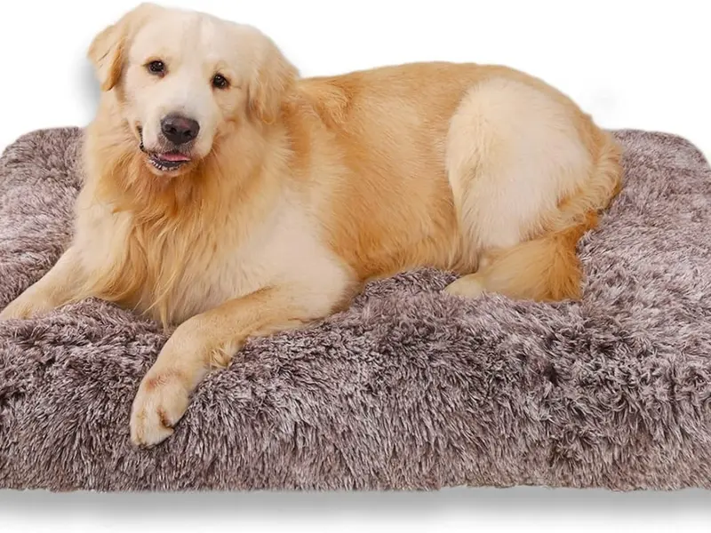 Small Dog Bed Washable Dog Crate Mattress Calming Fluffy Anti Anxiety Dog Beds Deluxe Plush Dog Mat with Anti-Slip Bottom, Brown,60x45x6cm 4
