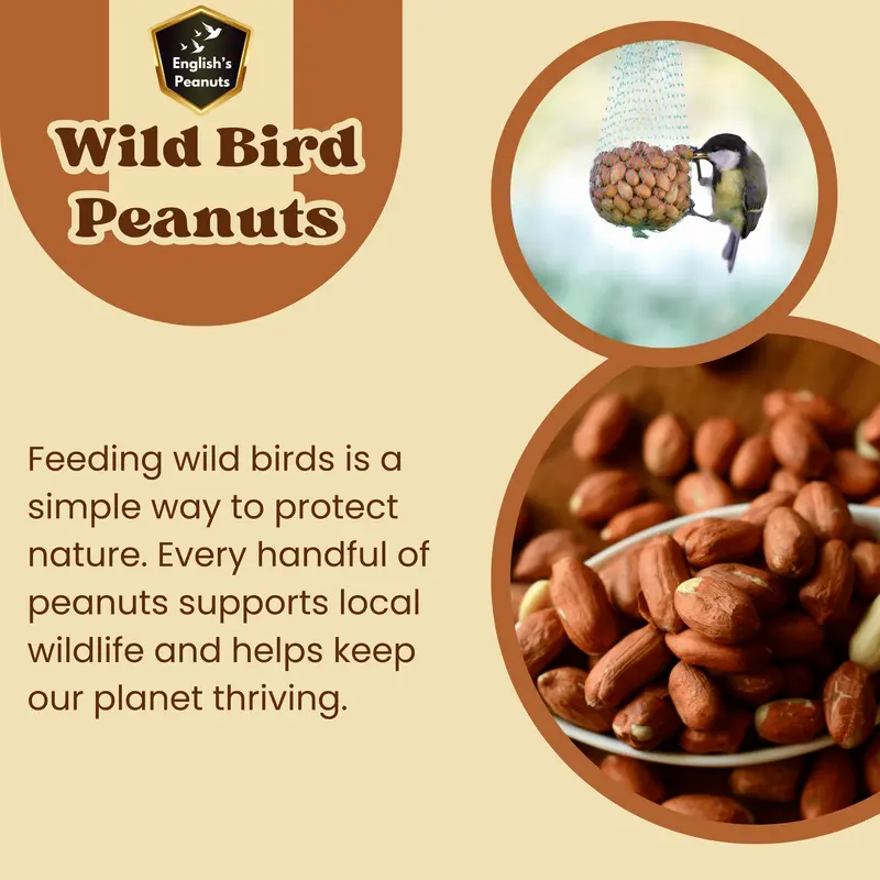 English's Peanuts Premium Wild Bird Peanuts 12.55kg – High-Protein & Energy-Rich Peanuts Wild Bird Food for Garden Feeders, Ideal Year-Round Feed 1