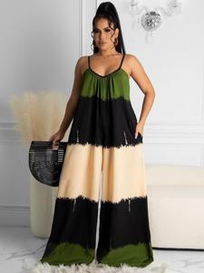 Women's Colorblock Cami  Jumpsuit, Casual Sleeveless Jumpsuit for Summer, Women's Clothing for Daily Wear