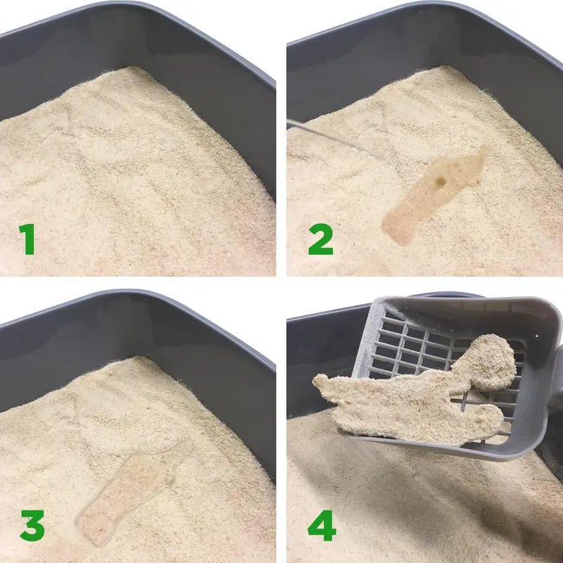 Almo Nature Clumping Cat Litter - The BEST odour controlling Cat litter 2