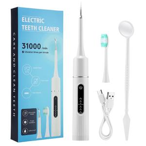 6-speed Adjustment Electric Toothbrush with Replacement Brush Head, 1 Set Waterproof Type C Charging Deep Cleansing Protecting Gums Toothbrushes for Adults, Rechargeable Electronic Toothbrushes, Oral Care Tools