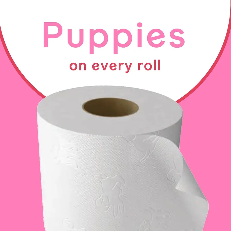 Andrex Family Soft Toilet Paper 24 Rolls (Previously Andrex Gentle Clean) Gentle on your Family’s skin– Pack of 24 Toilet Rolls, 170 sheets Per Roll, FSC... 1