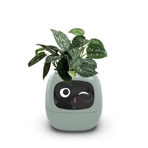 Smart Planter Endless Fun Over 49 Rich Expressions 7 Smart Sensors And AI Chips Make Raising Plants Easy And Fun 6