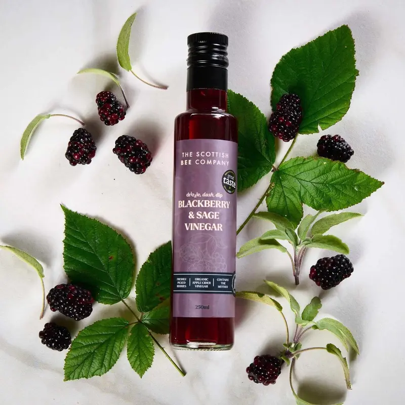Apple Cider Vinegar Infused with Blackberries and Sage 1