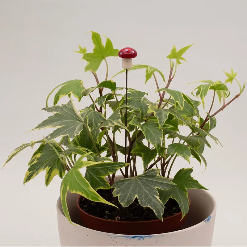 Mushroom Plant Decoration 1