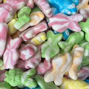 Swirly Fish - Freeze Dried Sweets | Gluten Free Sweets