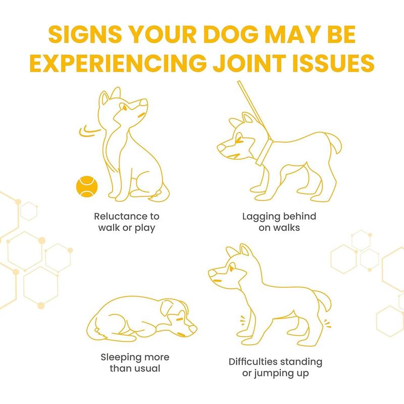 Vetzyme Flexible Joint Supplements for Dogs (90 Tablets) - Hip and Joint Care with Glucosamine, Tasty Chicken Flavour 4