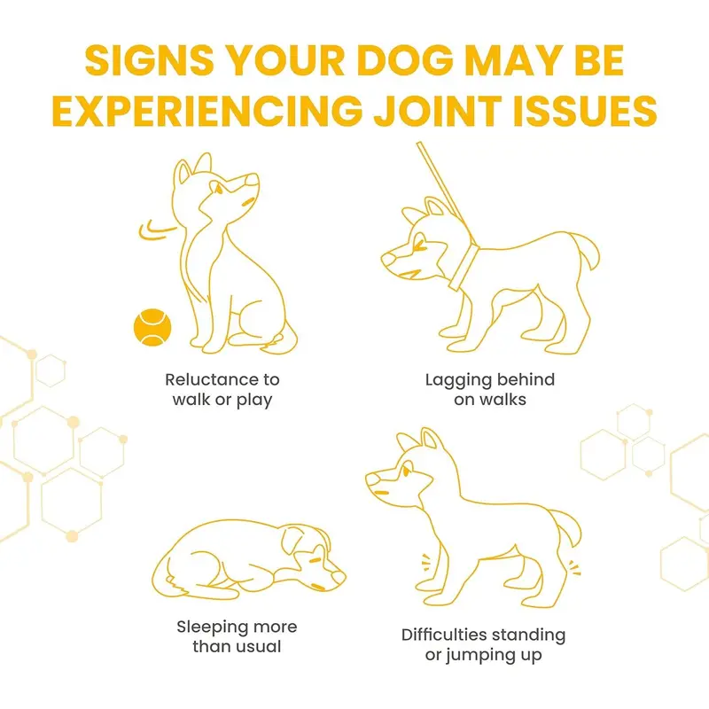 Vetzyme Flexible Joint Supplements for Dogs (90 Tablets) - Hip and Joint Care with Glucosamine, Tasty Chicken Flavour 4
