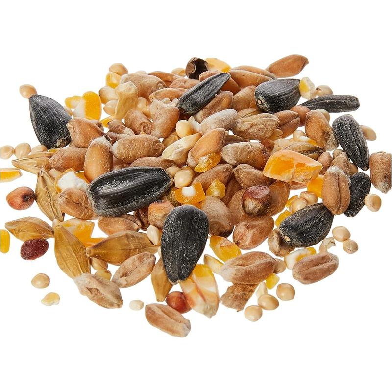 Extra Select Seed Mix Wild Bird Food, 5 Litre (Package may vary) 1