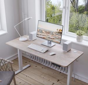 FEZIBO Height Adjustable Electric Standing Desk, 100 * 60 cm and 120 * 60 cmStand up Table, Sit Stand Home Office Desk with Splice Board, Black Frame