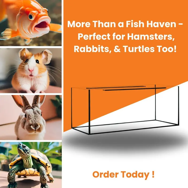 Diversa Aquarium Professional Fish Tank - Real Glass, Standard & Bow Front AQUARIUM ONLY (25L (40x25x25cm)) 5