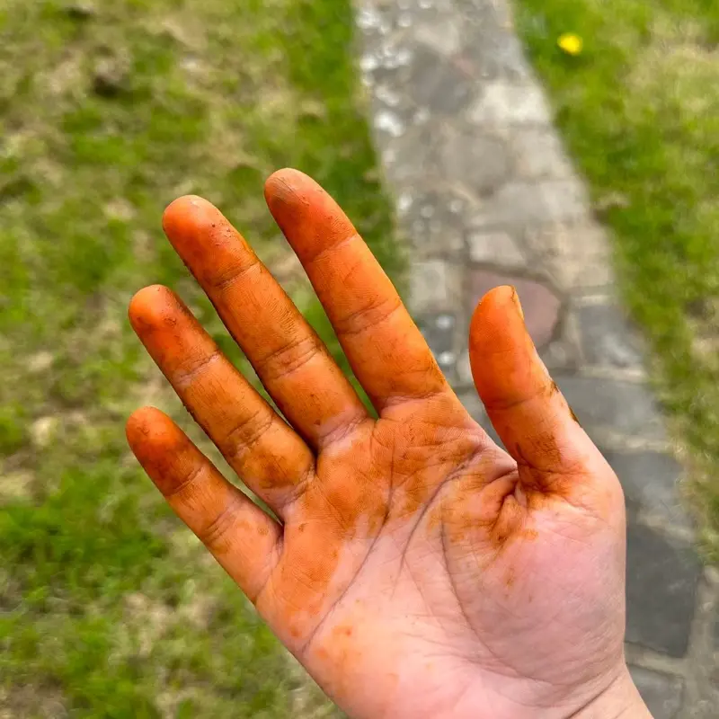 Bulk 350g Organic Natural Henna/Mehndi, Dark Stain, Chemical Free 2