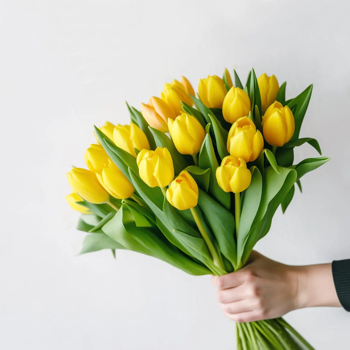 Yellow Tulips Fresh Flowers Bouquet British Grown Flower Delivery