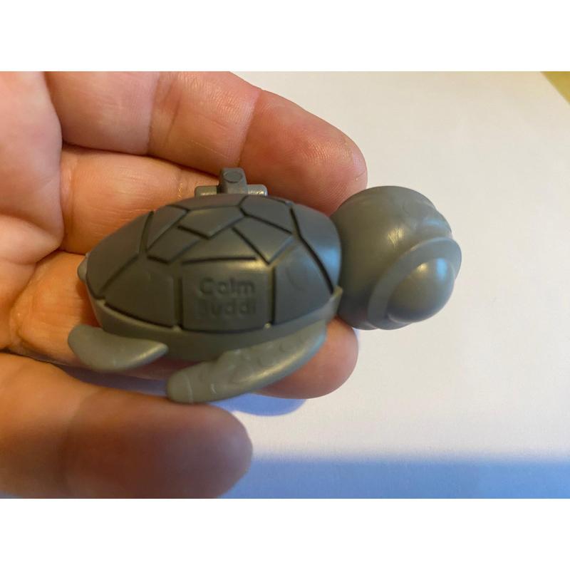 Calm Buddi Turtle Sensory Fidget 3