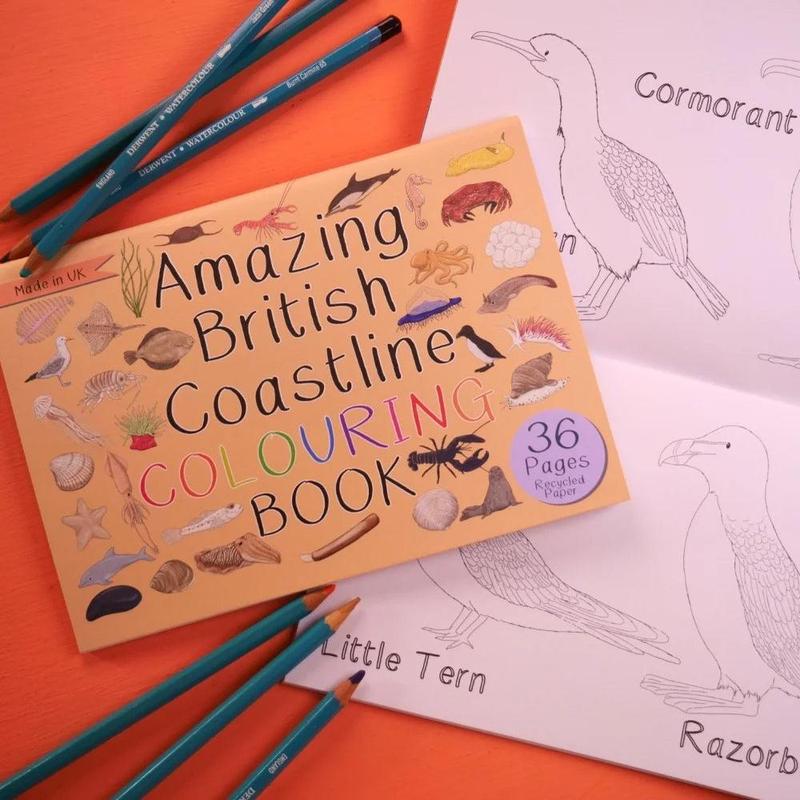 Amazing British Coastline Colouring Book 2