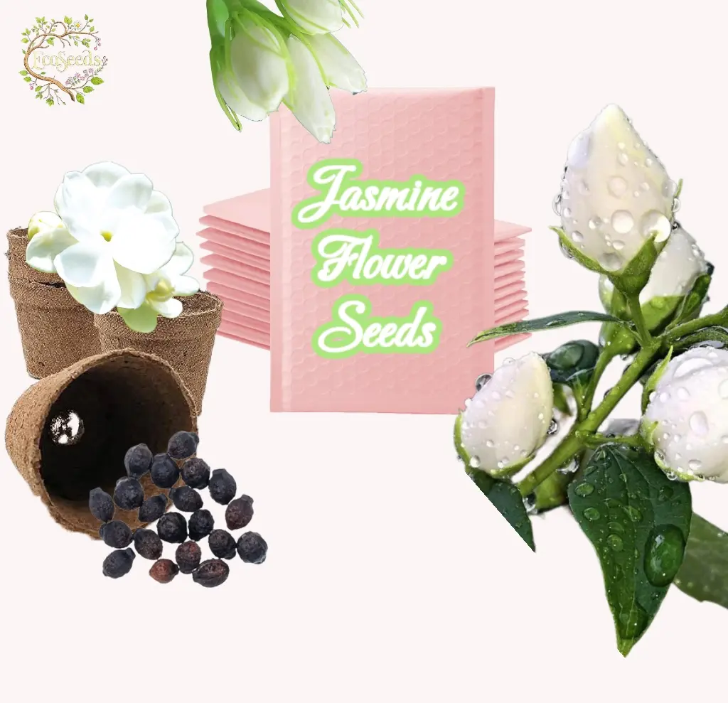 Jasmine Flower Seeds - Create a Fragrant, Beautiful Garden with Ease - 100Seeds