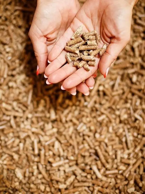 2 x 30L Wood Based Cat Litter, Ultra Absorbent, Biodegradable, Cat and Kitten, Superb Odour Control, Antibactrial, Catvenience Wood Pellet Cat Litter (2 x 30L Double Pack)
