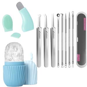 Facial Care Tool Set, 10pcs/set Facial Blackhead Cleansing Tools, Including 8 Counts Acne Needle Set & Silicone Cleansing Brush Head & Ice Face Roller for Daily