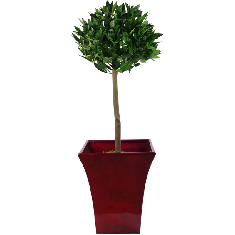 Pair of Artificial Bay Topiary Ball Trees, Green, 90cm (3ft) 4