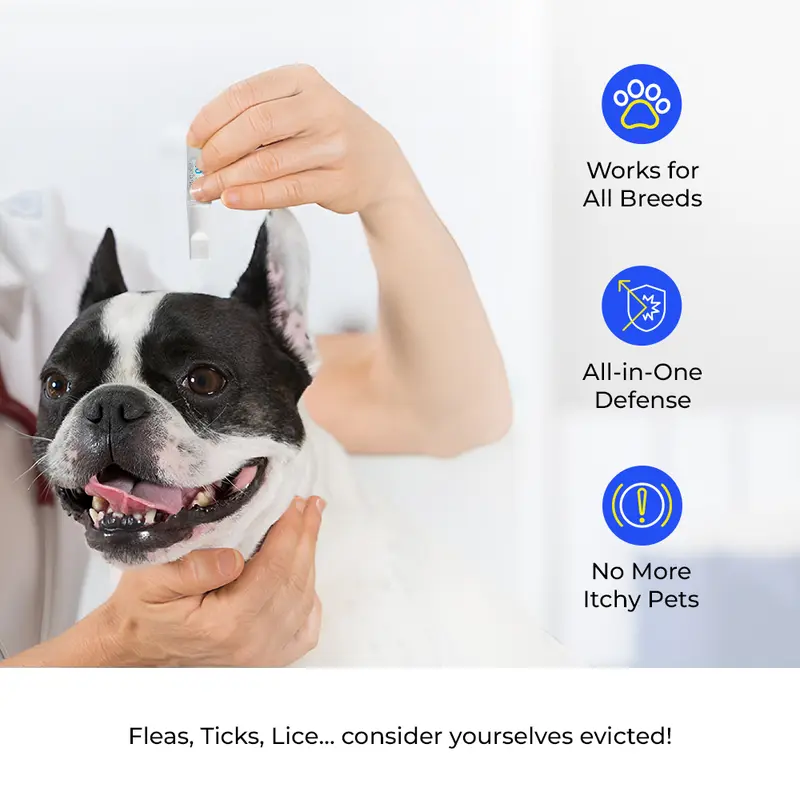 2 x 2 Dog Flea & Tick Treatment Spot-On Solution - Repellent & Upto 4 Months Protection 3